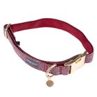 Collier Nomad Tales Calma, bordeaux pour chien