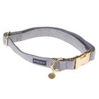 Collier Nomad Tales Calma, gris pierre pour chien