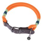 Collier Nomad Tales Spirit, mandarine pour chien 