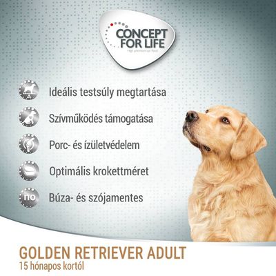 Kutyaszállító box golden retriever