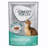 concept for life british shorthair adult