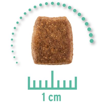 Veterinary diet hypoallergenic dog insect Clearance