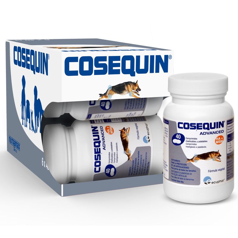 cosequin chat zooplus