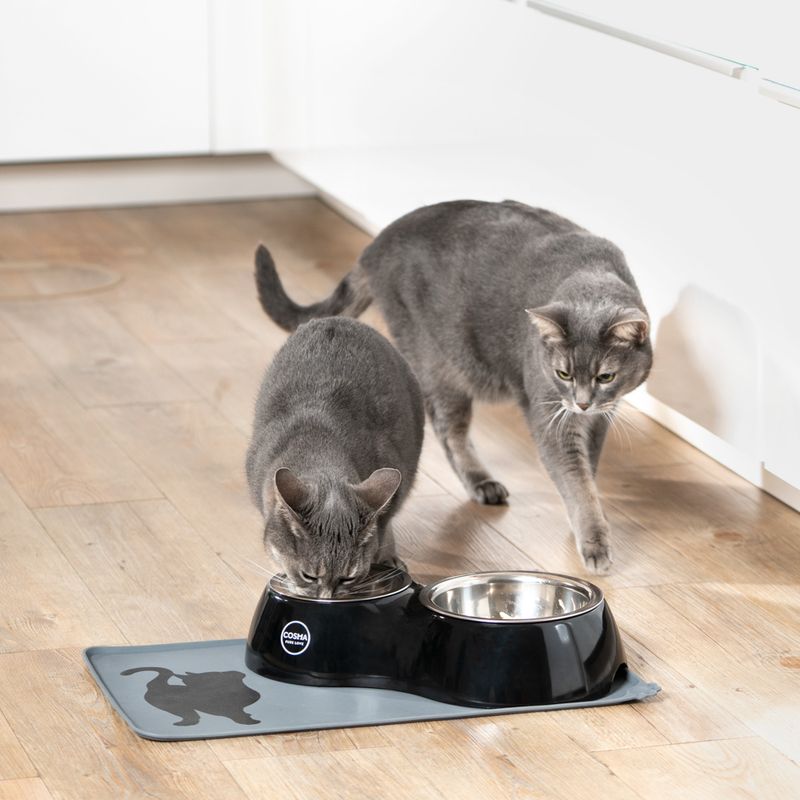 cat pedal dish