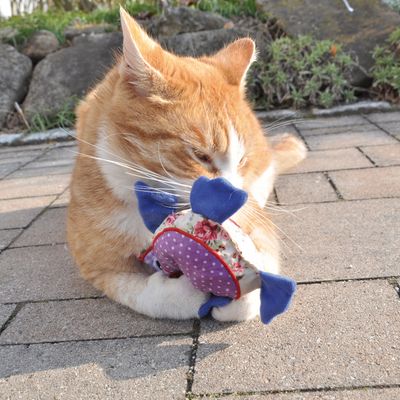 Coussin De Jeu Aumuller Chouette A La Valeriane Pour Chat Zooplus Be