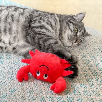 Coussin De Jeu Aumuller Crabe A La Valeriane Pour Chat Zooplus