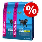 Dubbelpak: 2 Grote Zakken Eukanuba Mature & Senior Hondenvoer