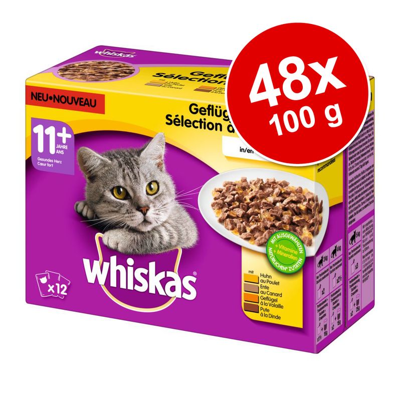 whiskas 5kg
