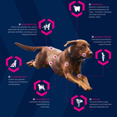 eukanuba hondenvoer breed