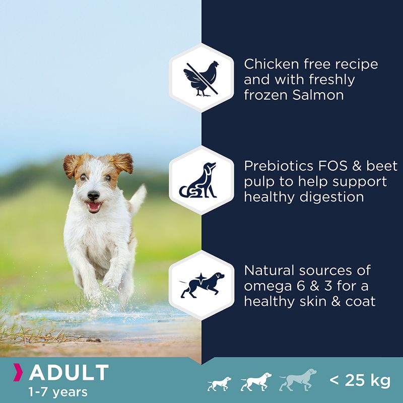 eukanuba grain free salmon