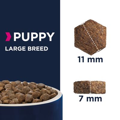 Eukanuba Growing Puppy Large Breed Huhn Gunstig Kaufen Zooplus