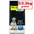 Extra voordelig! 16,5 kg Pro Plan droogvoer