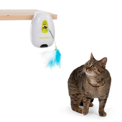 motion sensor cat toy
