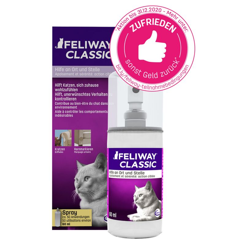 Feliway Classic Umgebungsspray Zu Top Preisen Bitiba De