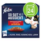 Welche Kriterien es bei dem Kaufen die Felix katzenfutter zu beachten gibt