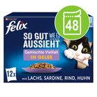 Alle Felix katze im Überblick