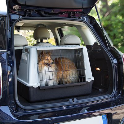 puppy crate for car