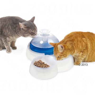 Filtres Pour La Fontaine à Eau Hagen Catit 3 L