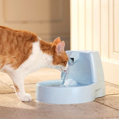 Fontaine à Eau Drinkwell 15 L By Petsafe Pour Chien Et Chat