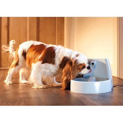 Fontaine A Eau Petsafe Drinkwell Original Pour Chien Et Chat Zooplus