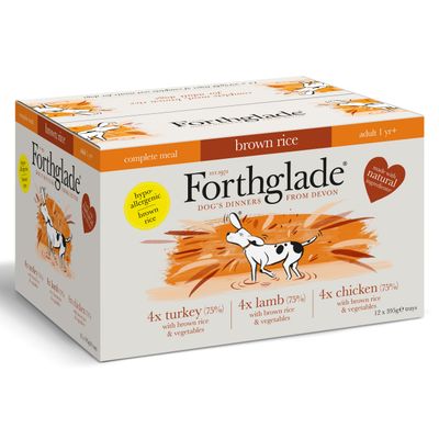 english ivy and dogs