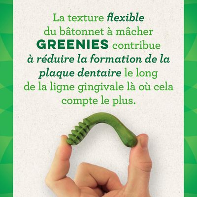 Friandises à Mâcher Pour Chat - Herbe Catmint - Soin Dentaire Naturel - Aide Contre Les Boules De Poils - Snack Séché
