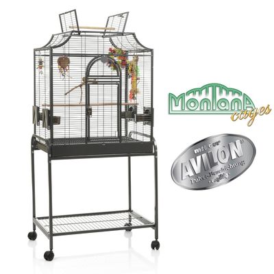 Montana madeira 2 Montana madeira 2