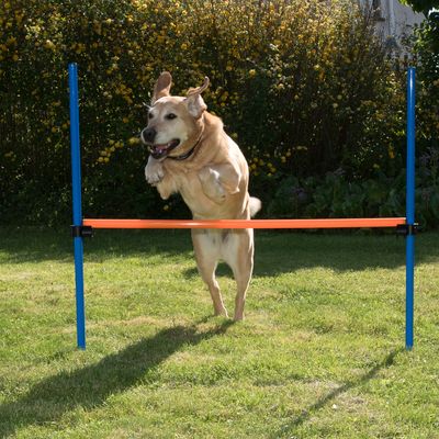 Fun & Sport Complete Dog Agility Course | zooplus.co.uk