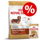 Gemengd pakket: Royal Canin Teckel Adult - Hondenvoer