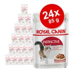 Gemengd pakket: 24 x 85 g Royal Canin in Saus en Gelei
