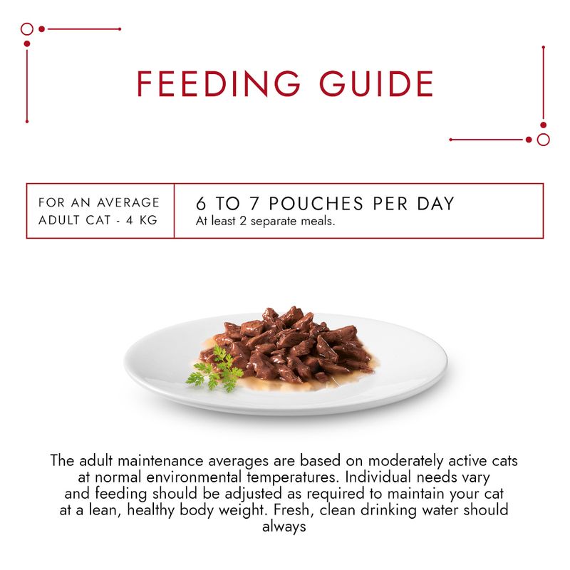 beneful dog biscuits