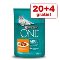 Purina ONE Hrană pentru pisici la oferte avantajoase la zooplus