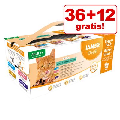 iams website