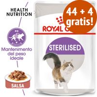 zooplus royal canin british shorthair