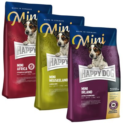 mini happy dog