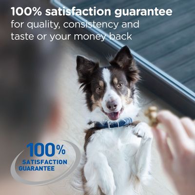 hill's teeth cleaning biscuits