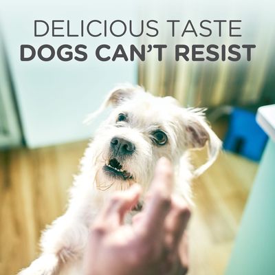 hill's teeth cleaning biscuits