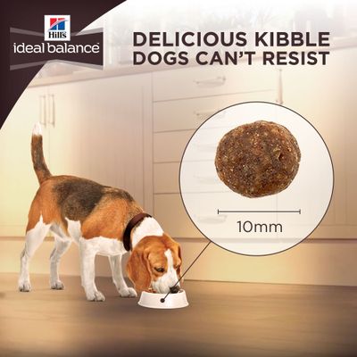 hill's ideal balance dog food 12kg
