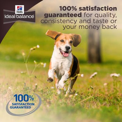 hill's ideal balance dog food 12kg