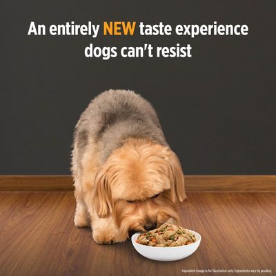 Hill S Pd Canine K D Mobility Stew Chicken Zooplus Ie