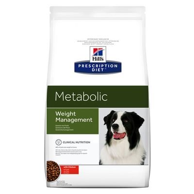 Food management dog now weight