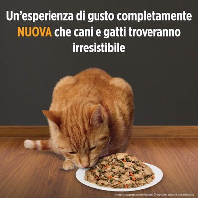 Hill S Prescription Diet C D Multicare Urinary Care Spezzatino Su Bitiba