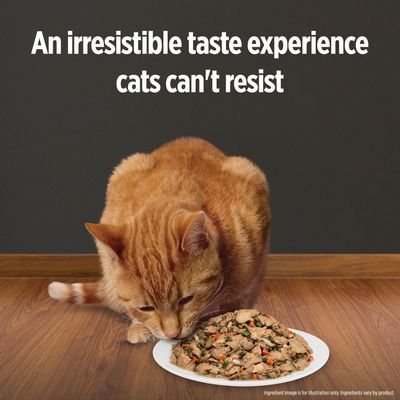 Hill S Pd Feline K D Kidney Care Stew Chicken Zooplus Co Uk