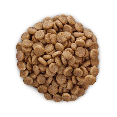 Hill S Prescription Diet K D Nierenpflege Mit Chicken Dry Cat