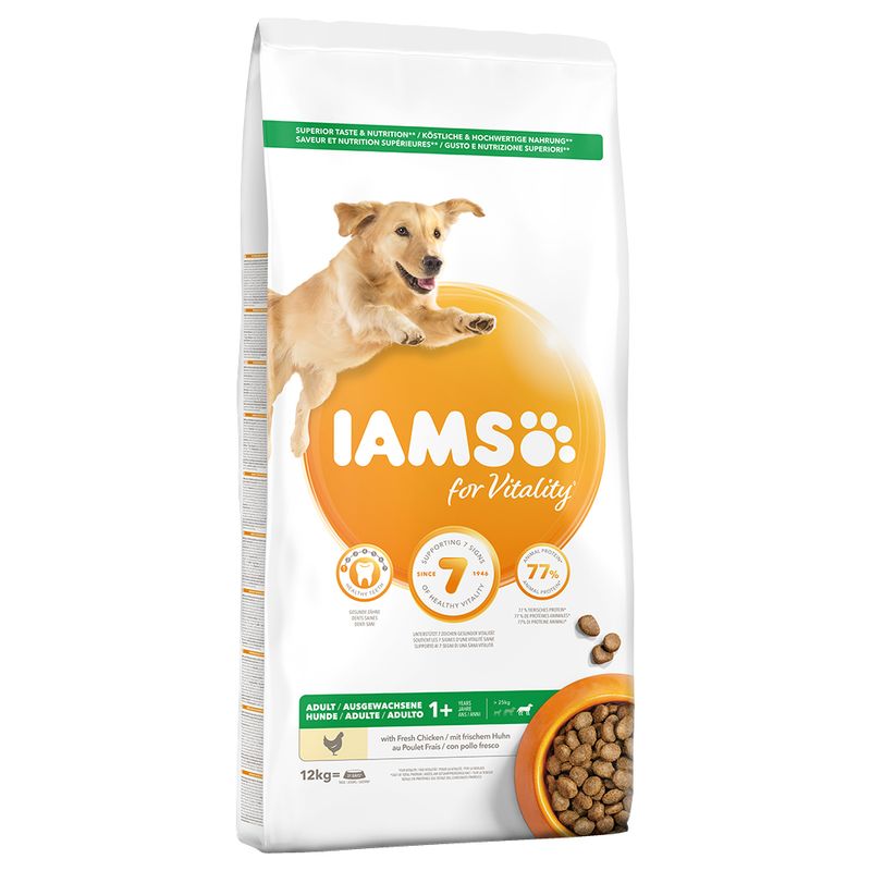 iams small dog food