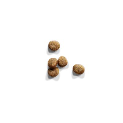 IAMS for Vitality Kitten con pollo fresco al mejor precio en zooplus