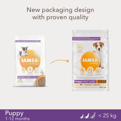 iams junior