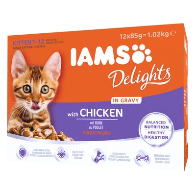 iams kitten & junior
