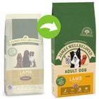 James Wellbeloved Adult - Lam & Rijst Hondenvoer