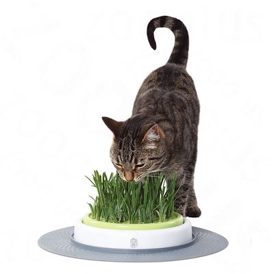 Jardin Dherbe à Chat Catit Design Senses